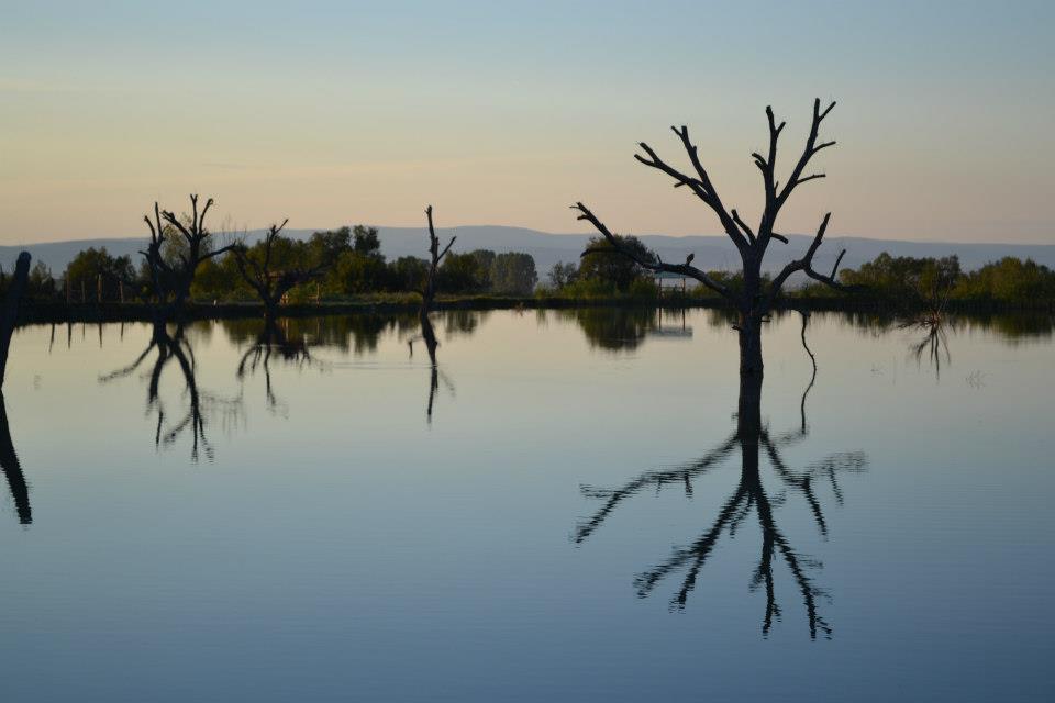 Balta Valea Morii Budila - 300017_100694853433852_1276190365_n.jpg